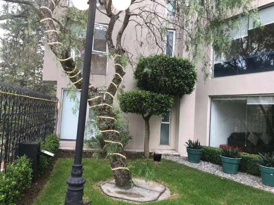 Hermoso Departamento En Bosques De Las Lomas Dos Habitaciones Mexico by Eksteriør bilde